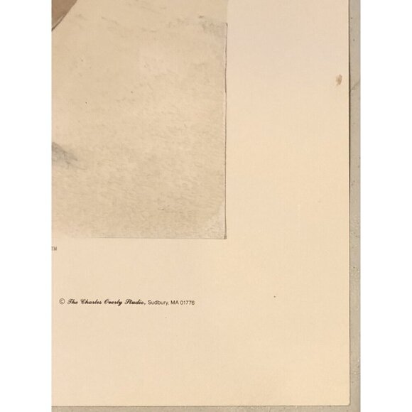 11.5"x14" Hand Colored Pencil Sketch PRINT TCU Horned Frog by CHARLES OVERLY EUC - Picture 6 of 8